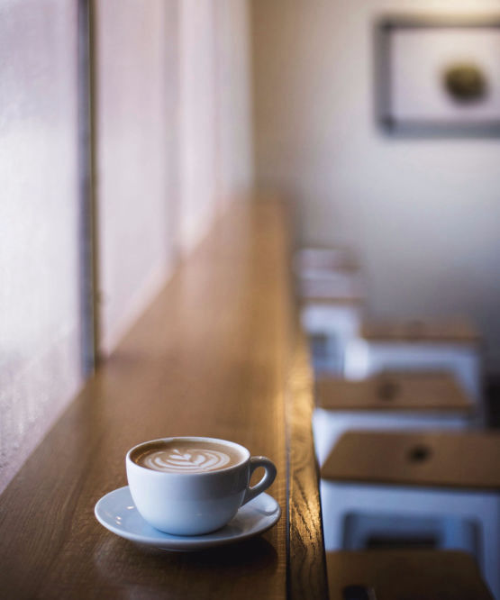 Normandie Désinsectisation à Thury-Harcourt : nous contacter